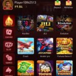 NB9 online entertainment app displayed on a smartphone.